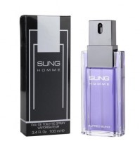 SUNG HOMME 100ML EDT SPRAY FOR MEN BY ALFRED SUNG
